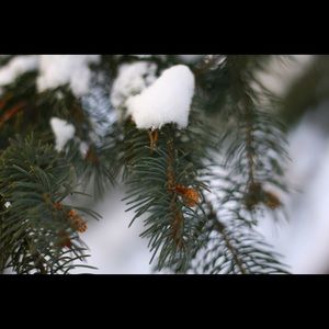 Meet your Posher, Charlotte